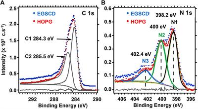 Comparative X-ray photoelectron spectroscopy analysis of nitrogen atoms implanted in graphite and diamond